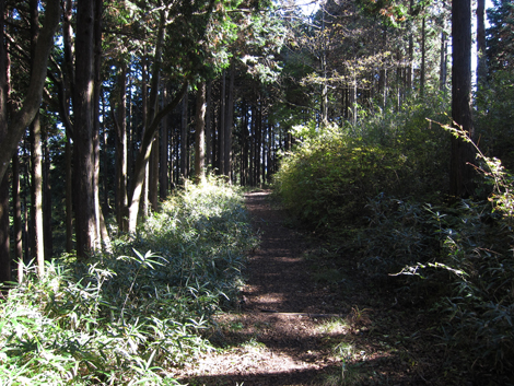 20201105hike (160)